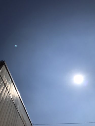 最近の暑さ(*_*)