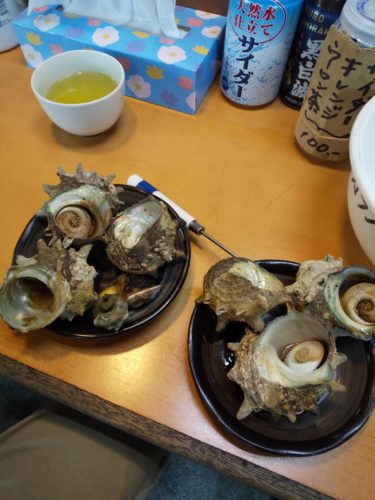 波戸岬