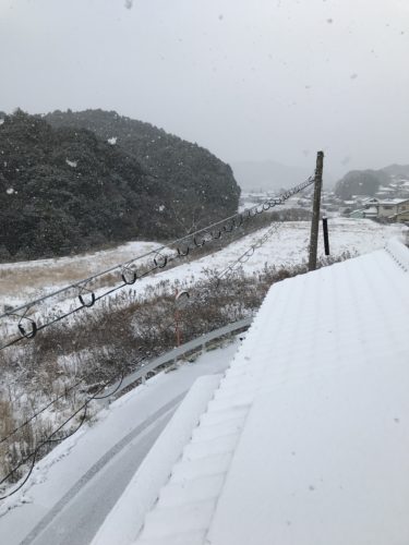 さむさむ〜(・Д・)