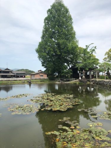 私のゴールデンウィーク