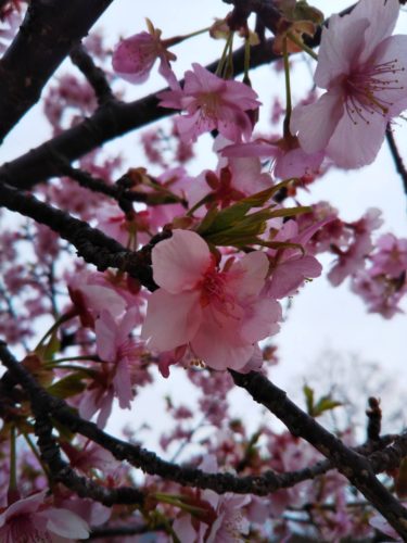 スリー・グッド・シングス