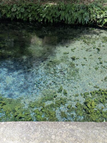 日帰りで熊本へ