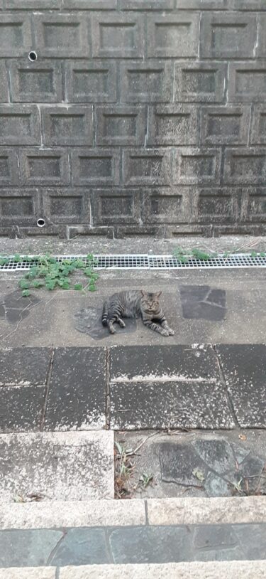 行ってらっしゃい。