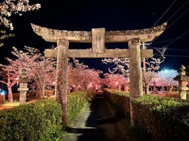 花見